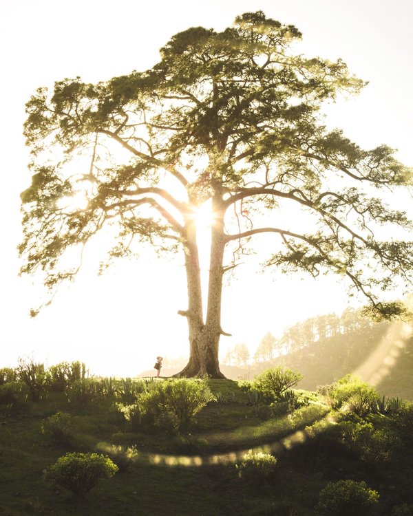 10 combattants de légende à suivre de près