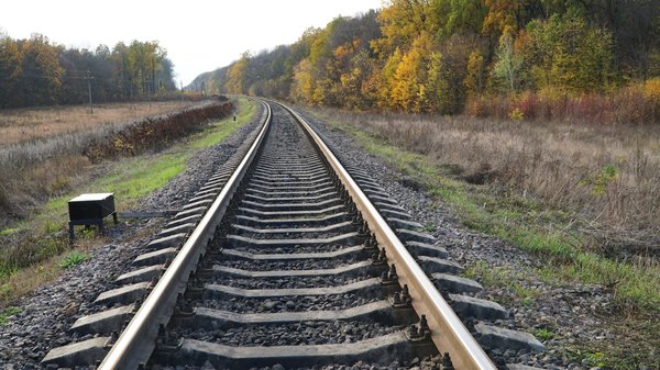 les joueurs à suivre de près pour les prochains Jeux Olympiques